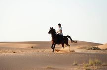 Horseback Riding in Dubai Desert with Transfers