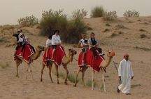 Morning Dubai Desert Dune Bashing and Camel Ride