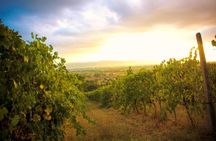 Winemaker for a Day: Tour an Organic Winery