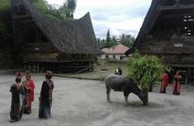 6 Day North Sumatra Highlights - Jungles Orangutans Lakes and Volcanoes