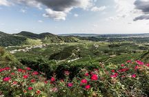 Private Prosecco Tour, with a certified Sommelier 