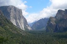Yosemite and Giant Sequoias Day Trip