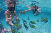 Private Luxury Sailing Cruise in Los Cabos with Lunch and Open Bar