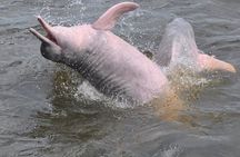 Santarém Water Encounters Tour