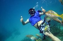 Cayo Arena Exclusive Tour with Lunch