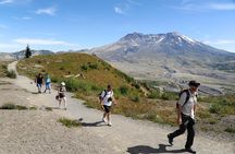Mount St. Helens from Portland: All-Inclusive Small-Group Tour
