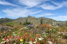 Mount St. Helens from Portland: All-Inclusive Small-Group Tour