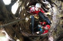 Tree Top Climbing Monteverde