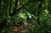 Walking Reserve Curi-Cancha