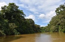  Caño Negro Wetlands by Boat|Small groups 8 max