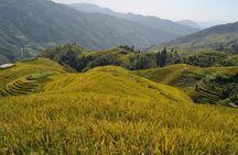 Longji Rice Terraces Long-Hair Minority Village Private Day Trip