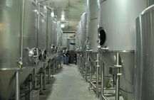 Burlington Signature Guided Brewery Tour