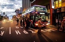 Half-Day San Jose Evening Bus Tour with Dinner and Pickup