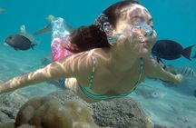 Mermaid Video shoot and Snorkel Adventure