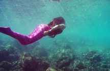 Mermaid Video shoot and Snorkel Adventure