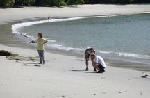 Full-Day Adventure to Manuel Antonio National Park from San Jose