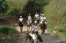 Explore Costa Rica on Horseback- Manuel Antonio tour