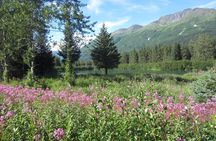 Stunning Turnagain Arm Tour: "A Must See Destination"