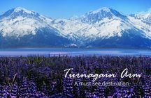 Stunning Turnagain Arm Tour: "A Must See Destination"