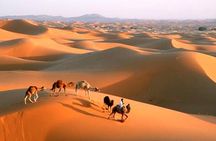 5 Days ( Desert Sahara Tour and Mount Toubkal Trek From Marrakech )