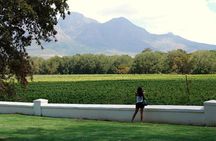 African Story Wine Tours in the Cape Winelands