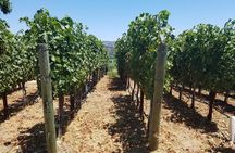 6 Hour Private Wine Country Tour (Sedan, SUV or Limo)