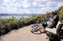 Great Lake Trail Lake Taupo 2-Day Mountain Biking Tour