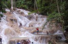 Dunn's River Falls and Blue Hole Private Tour from Ocho Rios