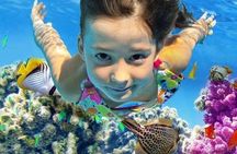 Marsa Alam: Snorkeling at Abu Dabab Beach
