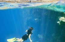 Port Ghalib day snorkeling excursion