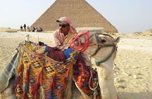 Amazing Day tour to Giza Pyramids and sakkara from Cairo