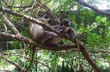 Private Customized Island Tour of Barbados