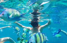 Krabi to Phi Phi Islands by Speedboat