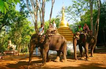 3-Day River Kwai Jungle Rafts Experience from Bangkok
