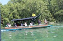 Pranburi Mangrove Swamp and River Cruise
