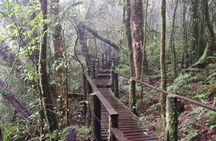 Doi Inthanon National Park - Thailand's Highest Peak
