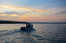 Shared Mangrove & Irrawaddy Dolphin Watching Cruise