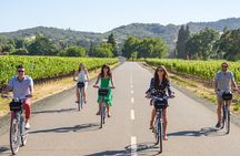 Sonoma Valley Pedal Assist Bike Tour with Lunch