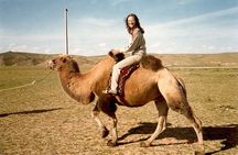 1 Day Coach Tour of Terelj National Park Including Lunch And Free Camel Ride