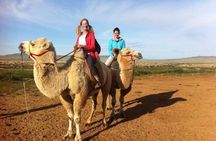 Overnight Semi-Gobi Tour with Nomadic HomeStay