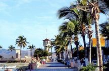 La Paz Whale Shark Snorkeling Tour and Lunch From Los Cabos