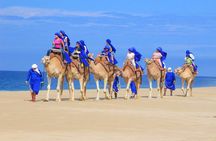 The Original Cabo Camel Ride, Mexican Buffet and Tequila Tasting