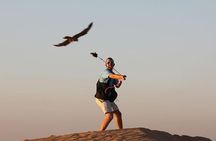 Private Desert Safari with Private Falcon Show with Sunset setup experience