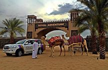 Desert Safari Evening Tours:- Special Rides, BBQ Buffet ,Live Entertainment 
