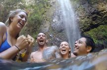 Wailua River: Kayak & Hidden Waterfall Adventure