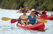 Kipu Zipline, Kayak, and Hiking Safari