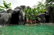 Arenal Volcano Lava Trail and Baldi Hot Springs with Dinner