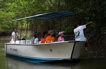 Damas Mangroove Boat Tour from Manuel Antonio