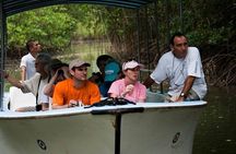 Damas Mangroove Boat Tour from Manuel Antonio