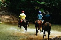 Horseback Riding and Waterfalls from Manuel Antonio